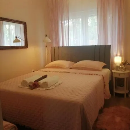 With Swimming Pool - 23696 * Vodice