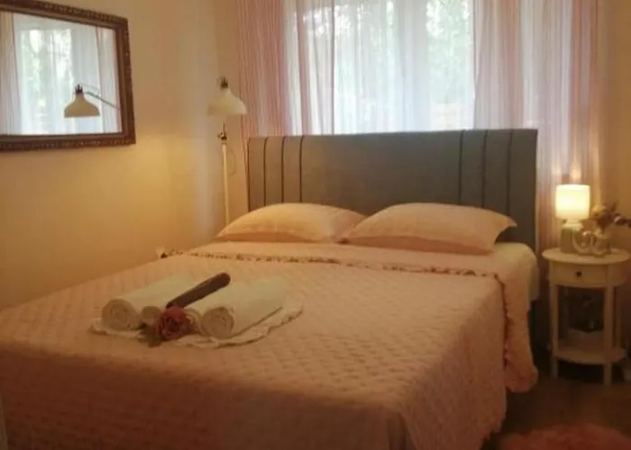 With Swimming Pool - 23696 * ヴォディツェ