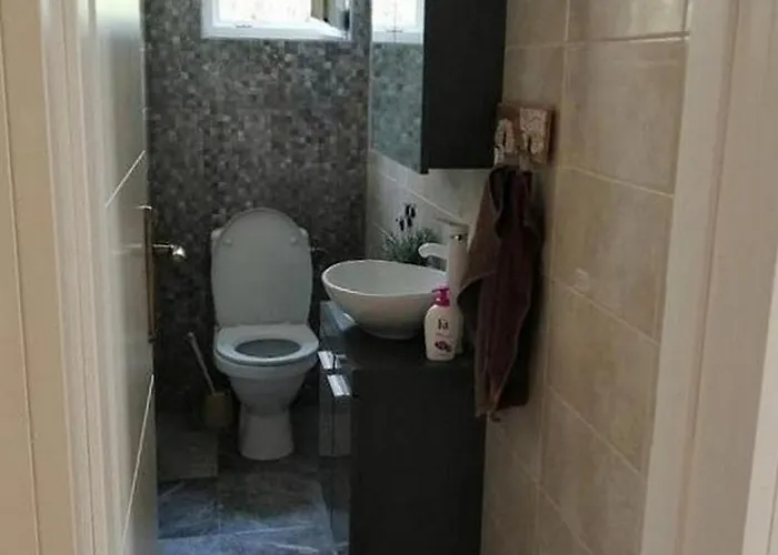 With Swimming Pool - 23696 * ヴォディツェ